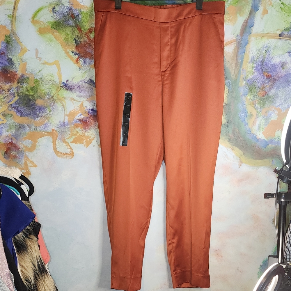 Banana Republic Women's Copper Ankle Pants